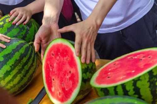 吃免费瓜,共享甜蜜,品味生活 第1张 吃免费瓜,共享甜蜜,品味生活 第1张